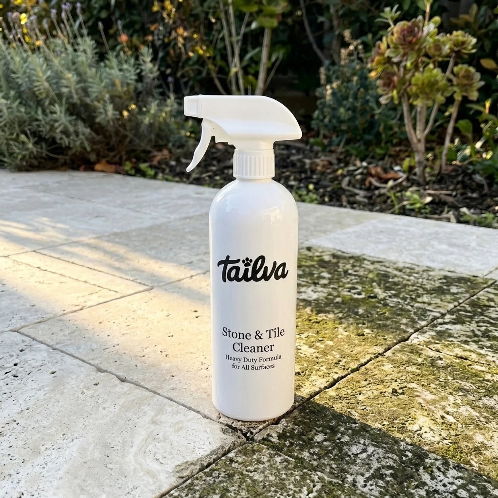 Stone & Tile Cleaner